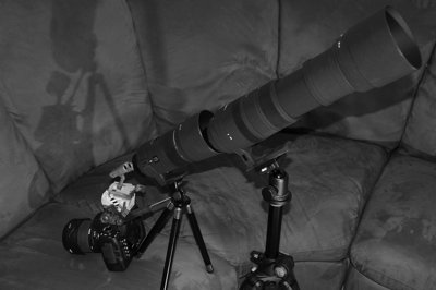 Really searching Eve_4314804111_l.jpg